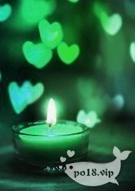 昭昭慕卿(np) 昭昭慕卿(np)